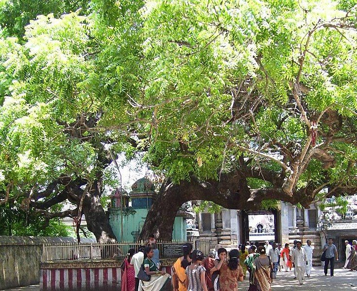 File:VaidheeshwaranTemple.JPG