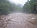 Fog on the Williams River during a period of high water in 2006.