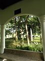 A gazebo at the Washington SyCip Park