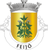 Coat of arms of Feijó