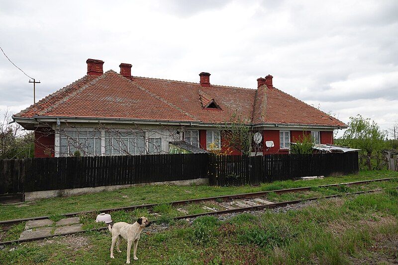 File:Căciulați train station.07.jpg