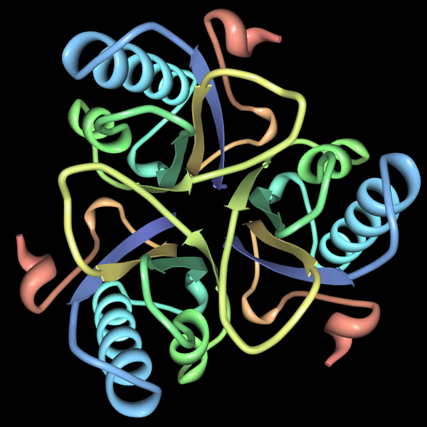 File:Chorismate-mutase-pdb-2CHS.png