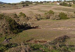 View of meadow and creek