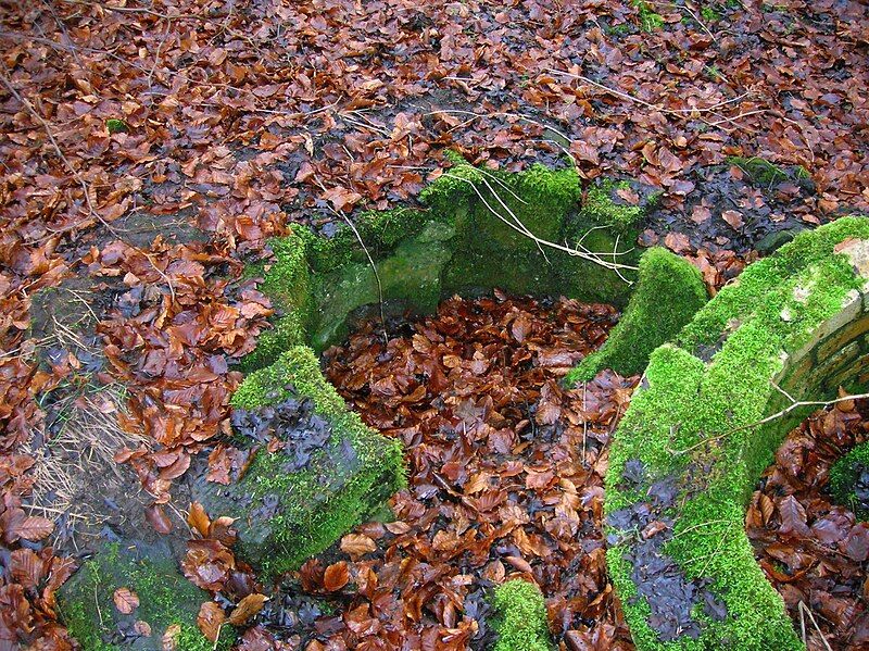 File:Draughtburn Gate well.JPG