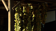 Drying mucheong (radish greens) to make siraegi