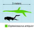 Eoplesiosaurus