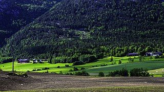 Farms in Bø