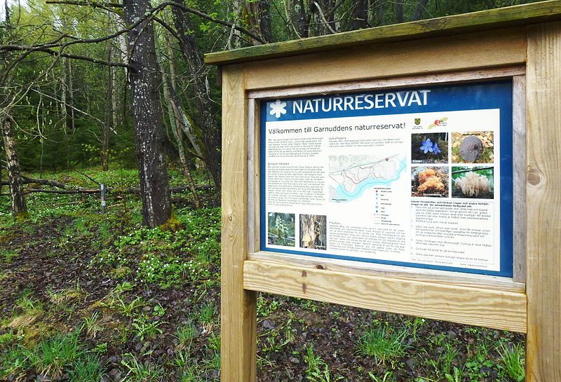 File:Garnuddens naturreservat 2014.jpg