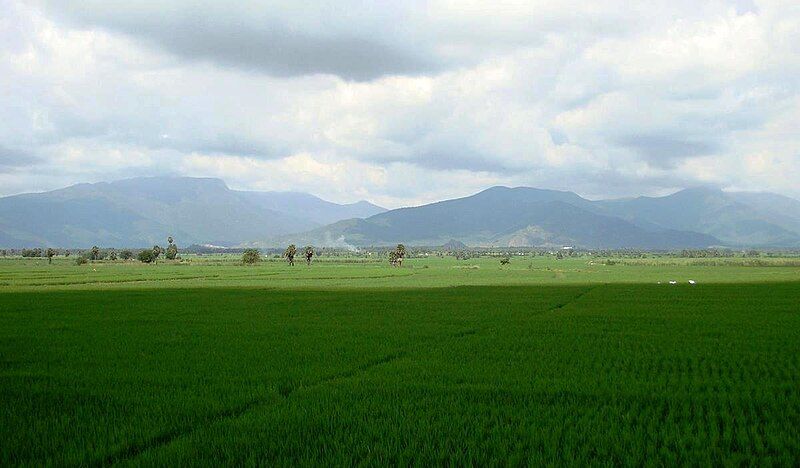 File:Gobi paddy.jpg