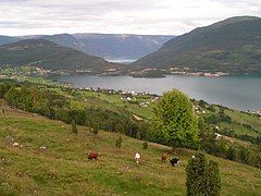 The Hafslo village area in the central part of the municipality