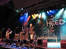 Heed on stage at ProgpowerUK 2, Cheltenham, England, 2007