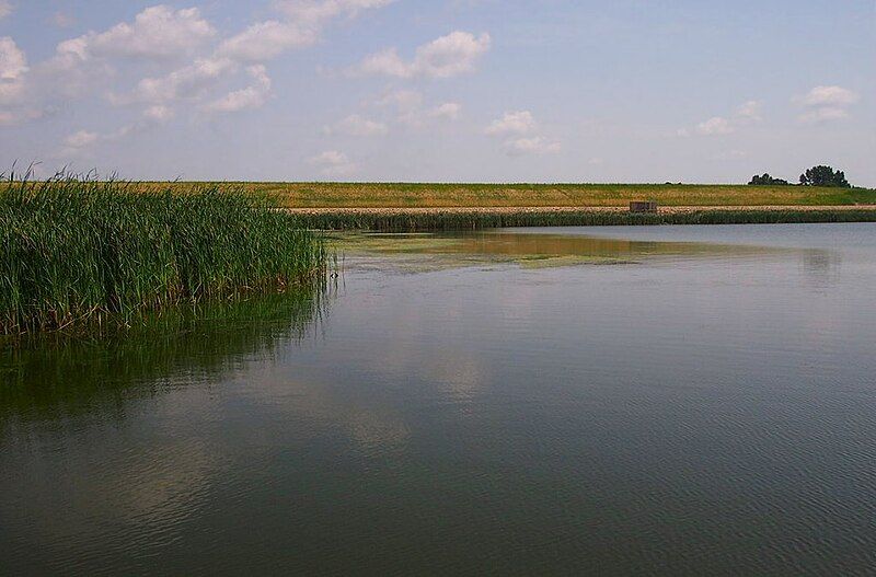 File:Lake Renwick.JPG