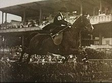 Photograph of a woman jumping a horse over an obstacle at a riding stadium full of spectators.