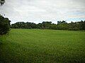 Image 34A field north of Fox Den Road along the Lenape Trail in Middle Run Valley Natural Area (from Delaware)