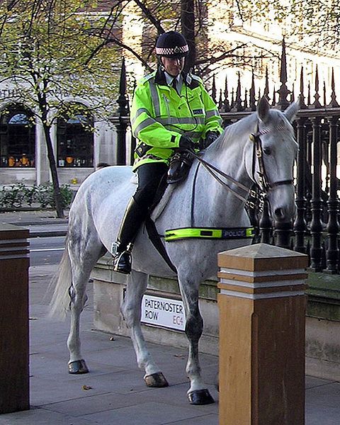 File:Mounted.police.london.arp.600pix.jpg