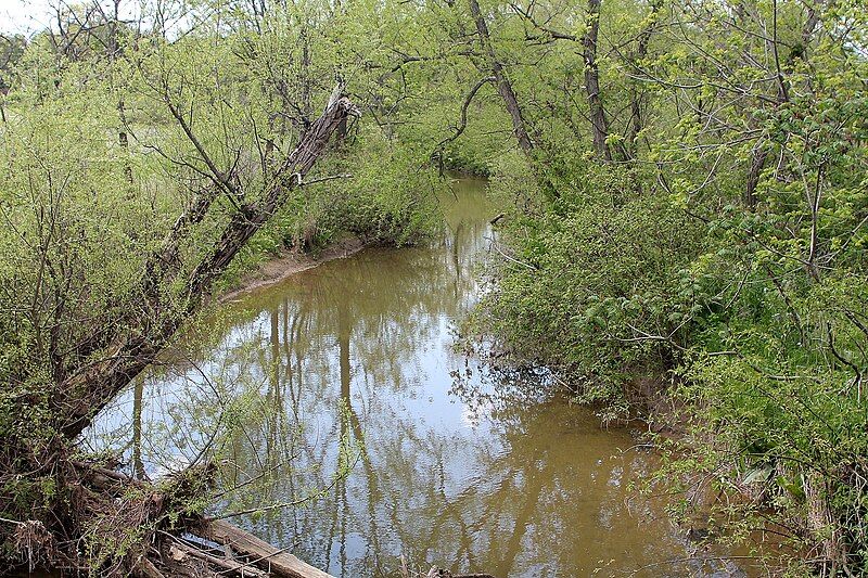 File:Mud Run.JPG