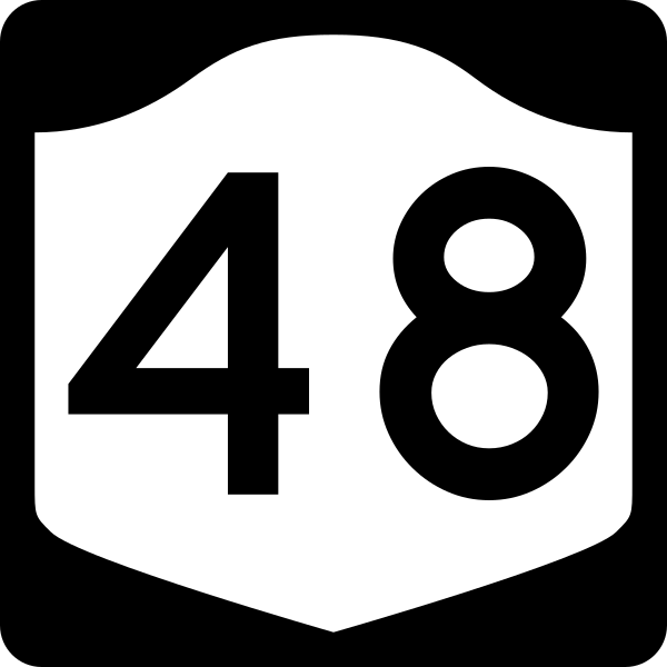 File:NY-48.svg