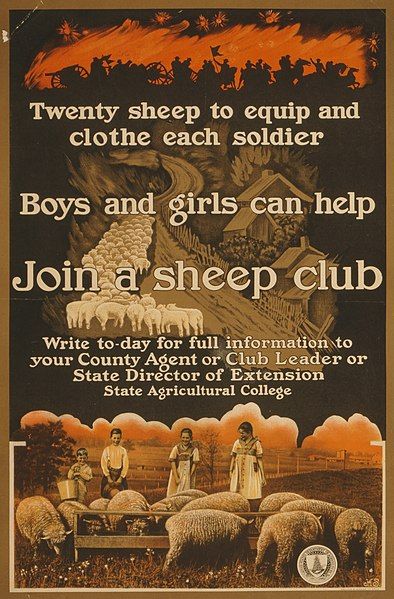 File:Sheep club.jpg