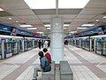 Zhongxiao Fuxing Station (Nangang Platform, Center)