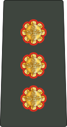 File:09.Bhutan Army-CAPT.svg