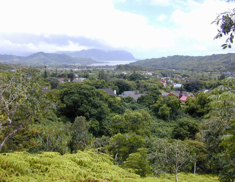 File:Ahuimanu.jpg