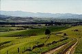 Looking from Mt Nessing area towards Fairlie