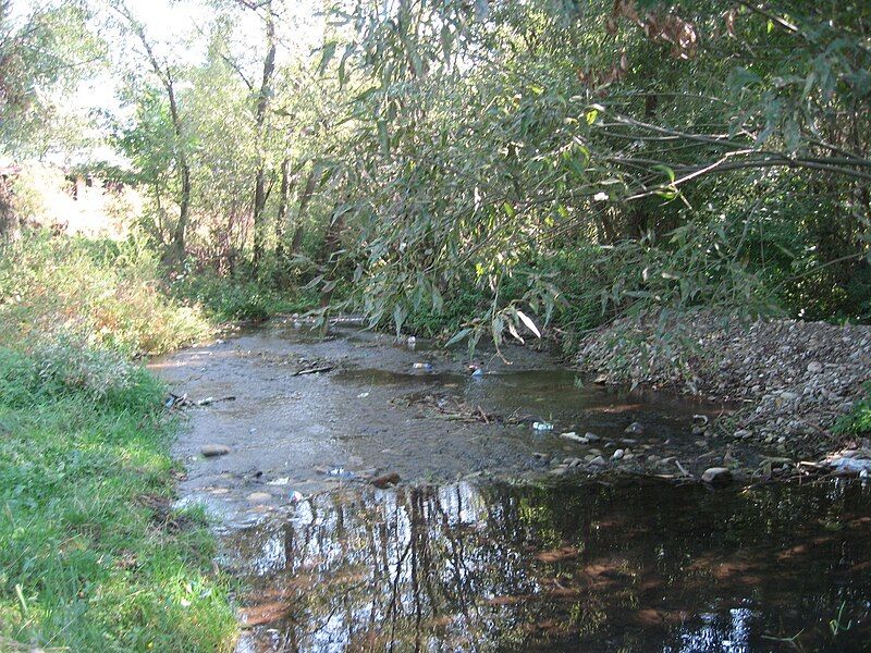 File:Bilca Mare River.jpg