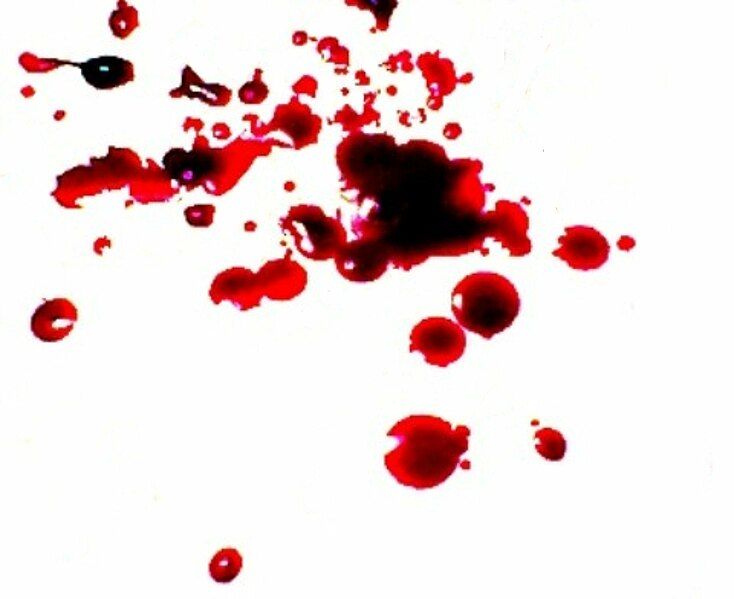 File:Blood.jpg