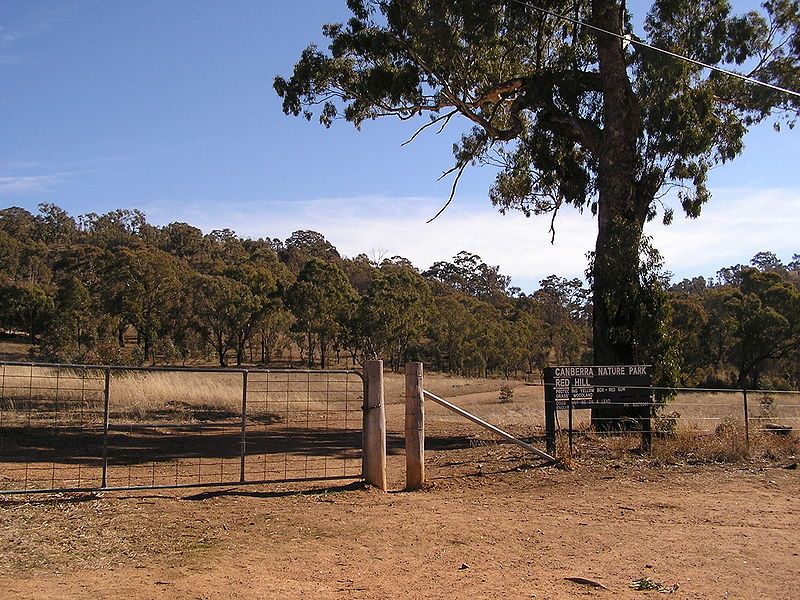 File:CanberraNatureParkRedHill.JPG