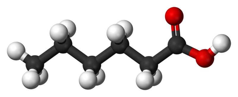 File:Caproic-acid-3D-balls.png