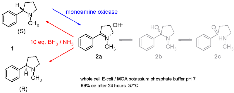 File:EnantiopuretertAmines.png