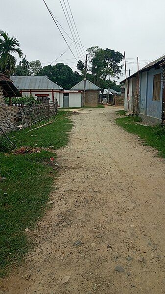 File:Hariharpur Gadhi Street.jpg