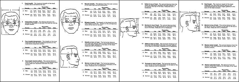 File:HeadAnthropometry.JPG