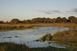 The Katavi National Park