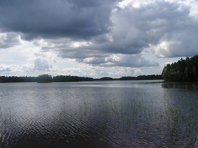 File:Lake Yltiä.jpg