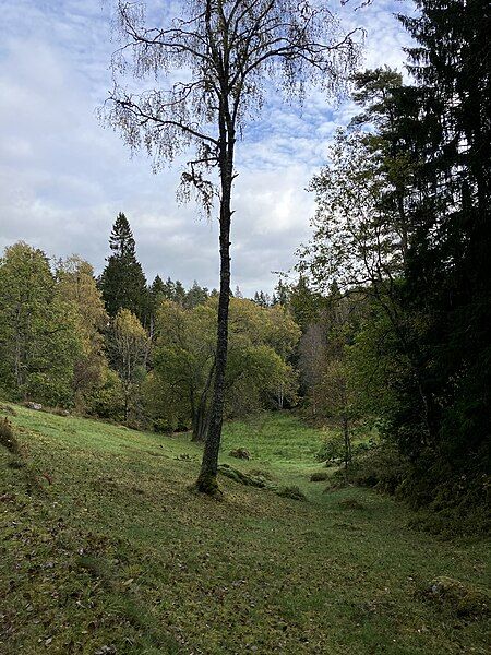 File:Meadow in Yxnås.jpg