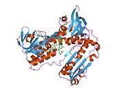 2grt: HUMAN GLUTATHIONE REDUCTASE A34E, R37W MUTANT, OXIDIZED GLUTATHIONE COMPLEX