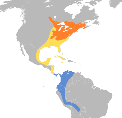 File:Piranga olivacea map.svg