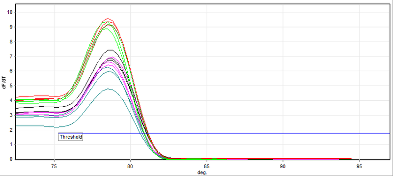 File:Qpcr-melting.png