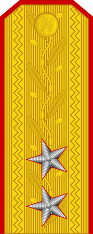 File:Romania-Army-OF-7.svg