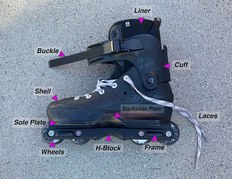 File:Skate Anatomy.jpg