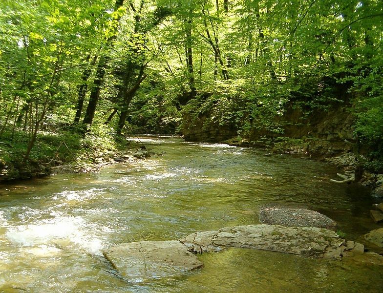 File:Steina im Muschelkalk.jpg