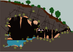 Diagram of dripstone cave structures (shelfstones labelled S)