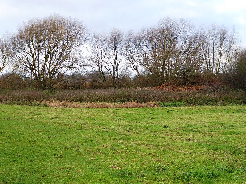 File:Wanlip Meadows 3.jpg