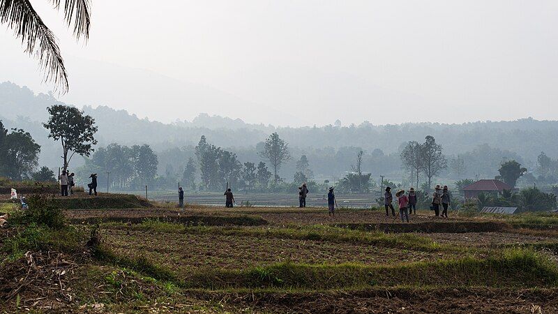 File:2013 Pua countryside.jpg