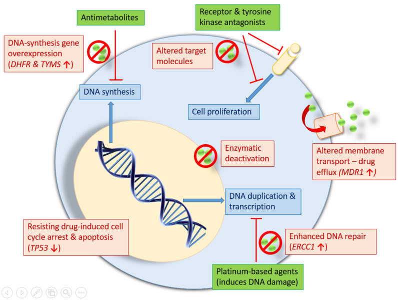 File:Antineoplastic resistances.png