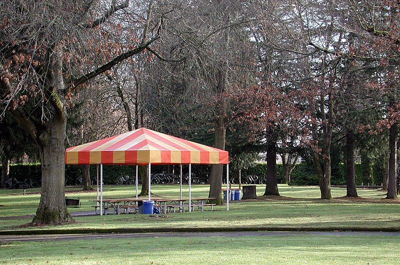 File:Blue covered picnic.jpg