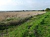 Burham Marsh