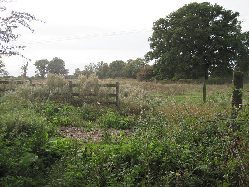 File:Caldecote Meadows 3.jpg