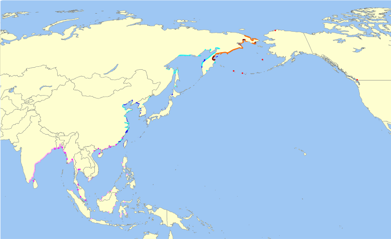 File:Calidris pygmaea distribution.svg